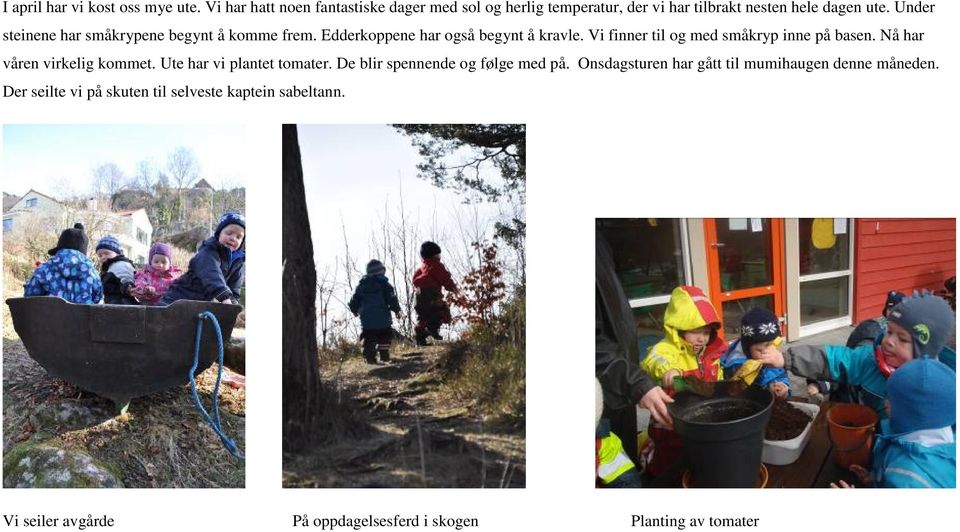 Under steinene har småkrypene begynt å komme frem. Edderkoppene har også begynt å kravle. Vi finner til og med småkryp inne på basen.