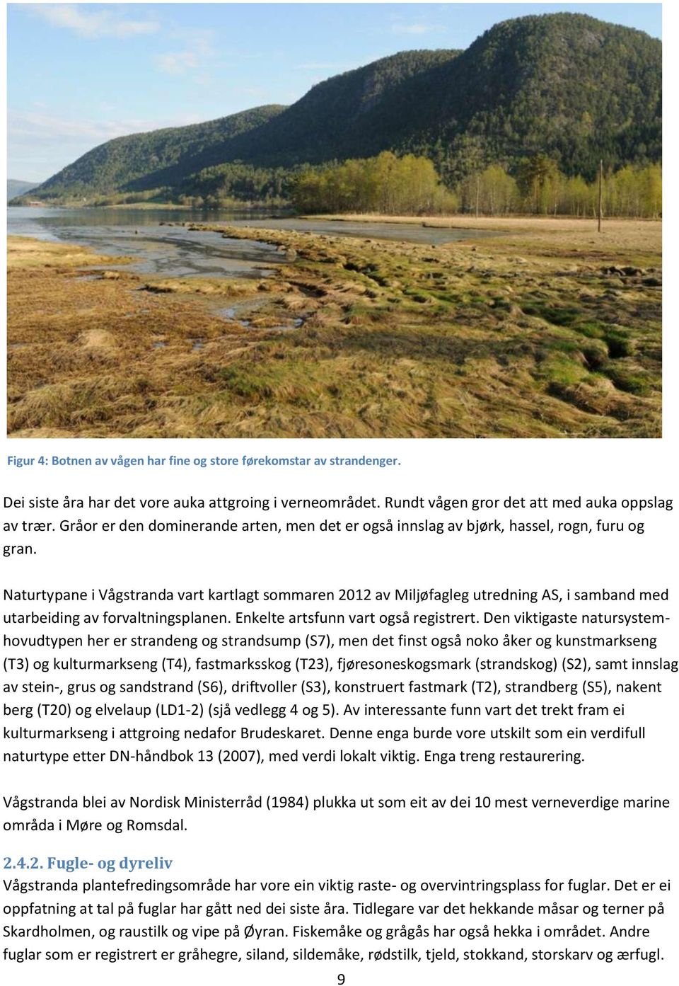 Naturtypane i Vågstranda vart kartlagt sommaren 2012 av Miljøfagleg utredning AS, i samband med utarbeiding av forvaltningsplanen. Enkelte artsfunn vart også registrert.