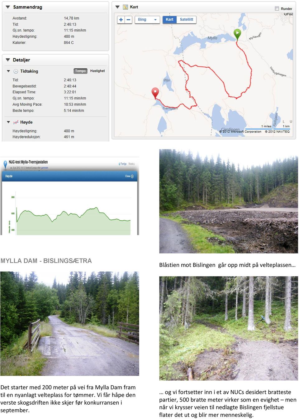 Vi får håpe den verste skogsdriften ikke skjer før konkurransen i september.