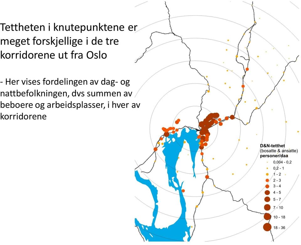 fordelingen av dag- og nattbefolkningen, dvs