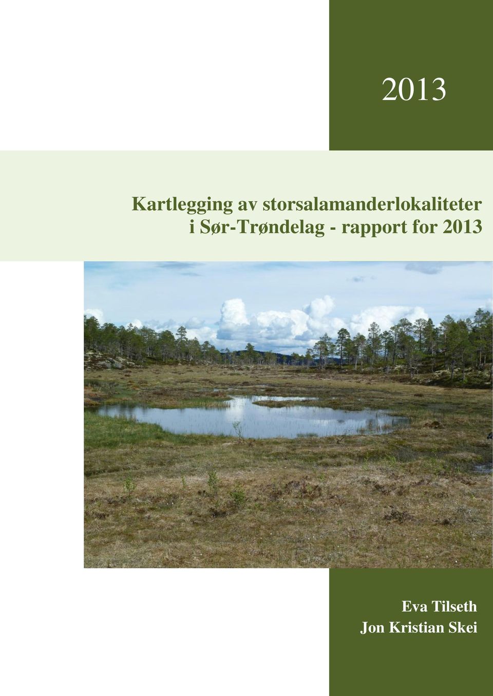 Sør-Trøndelag - rapport for