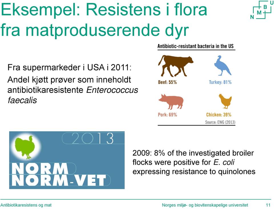 of the investigated broiler flocks were positive for E.