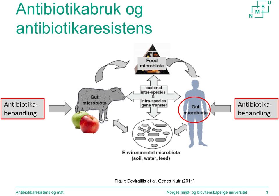 Devirgiliis et al.