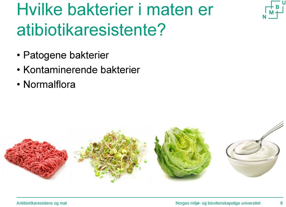 Patogene bakterier Kontaminerende bakterier