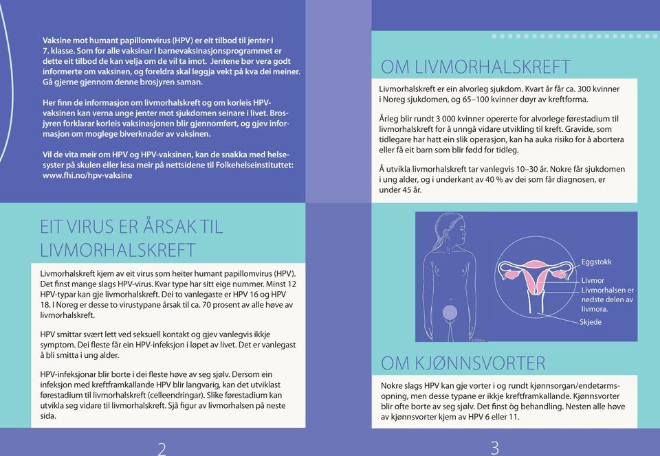 Her finn de informasjon om livmorhalskreft og om korleis HPVvaksinen kan verna unge jenter mot sjukdomen seinare i livet.