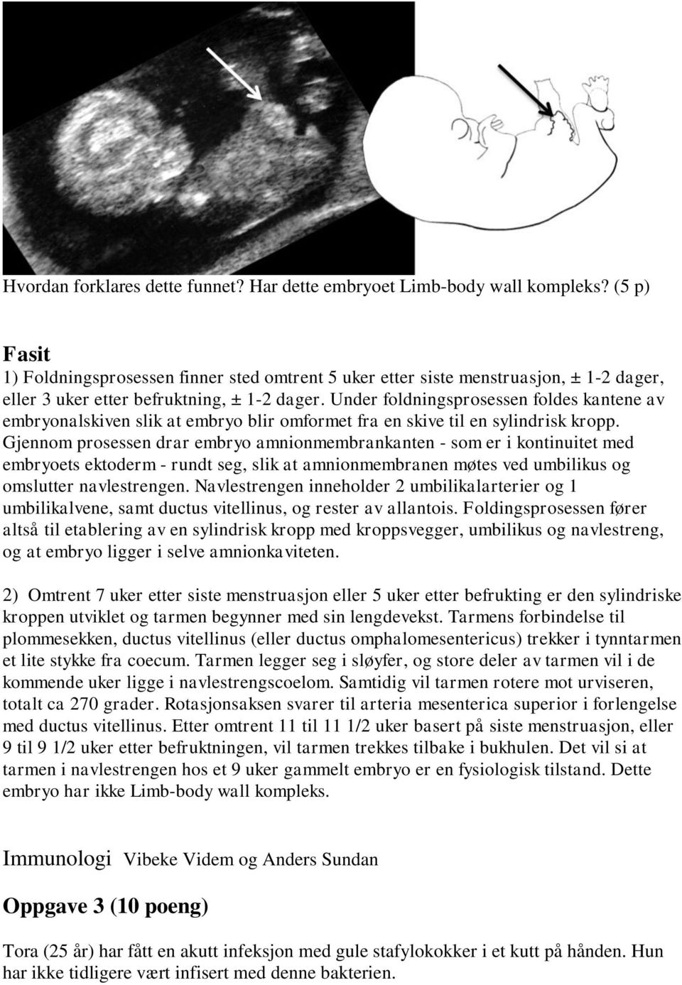 Under foldningsprosessen foldes kantene av embryonalskiven slik at embryo blir omformet fra en skive til en sylindrisk kropp.