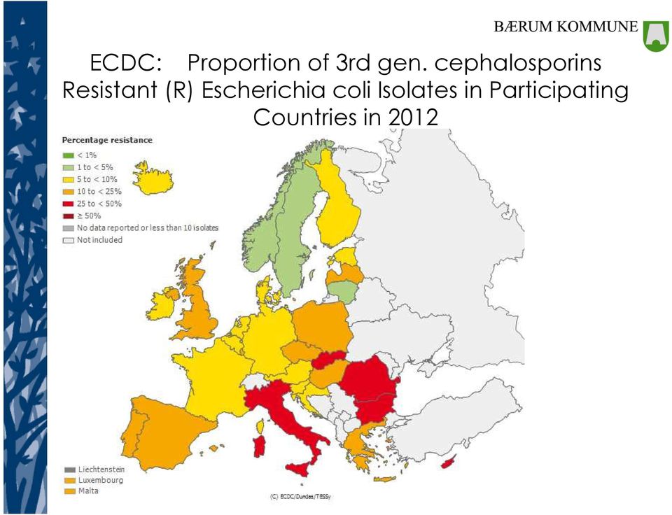 Escherichia coli Isolates in