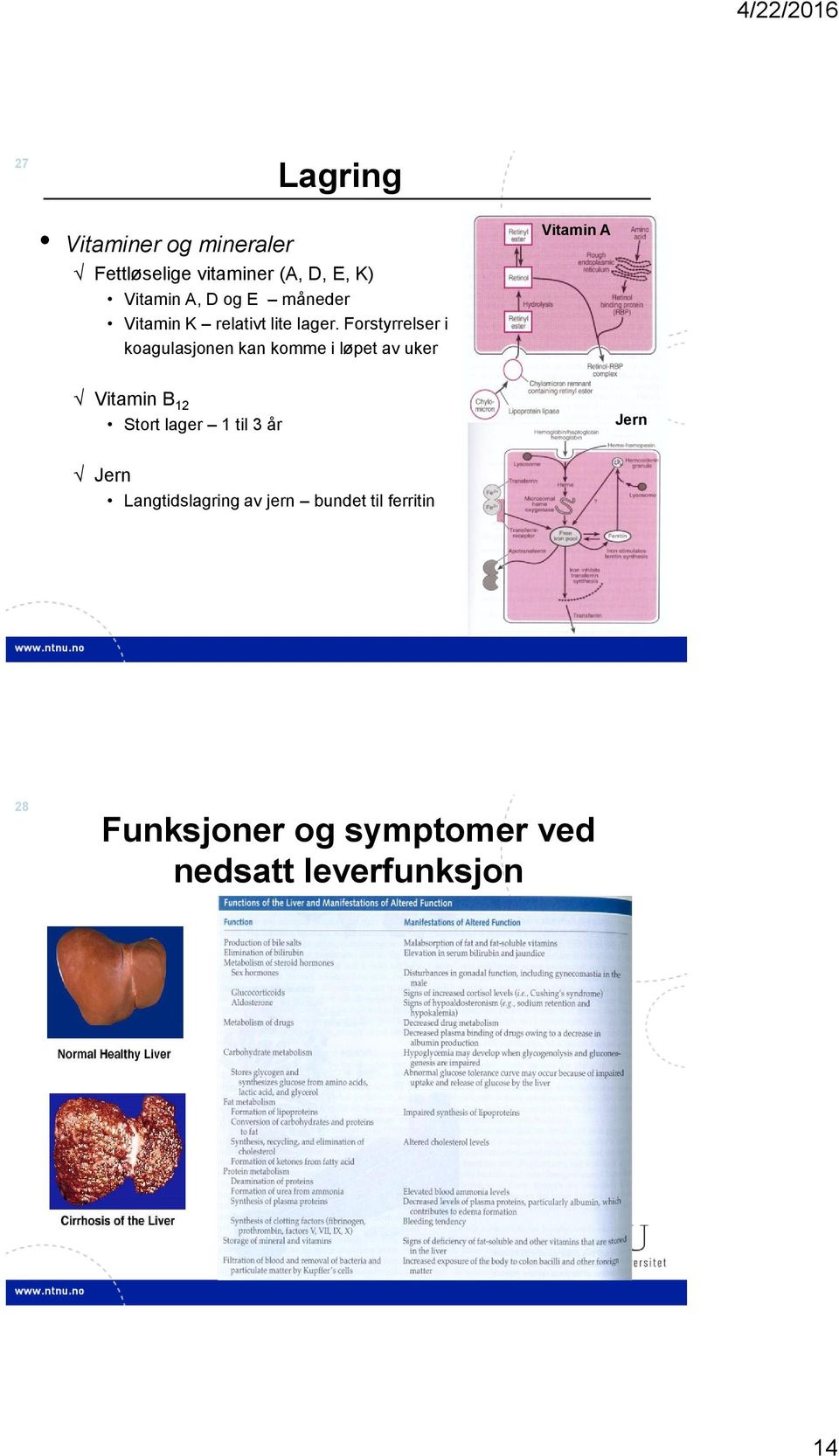 Forstyrrelser i koagulasjonen kan komme i løpet av uker Vitamin A Vitamin B 12 Stort