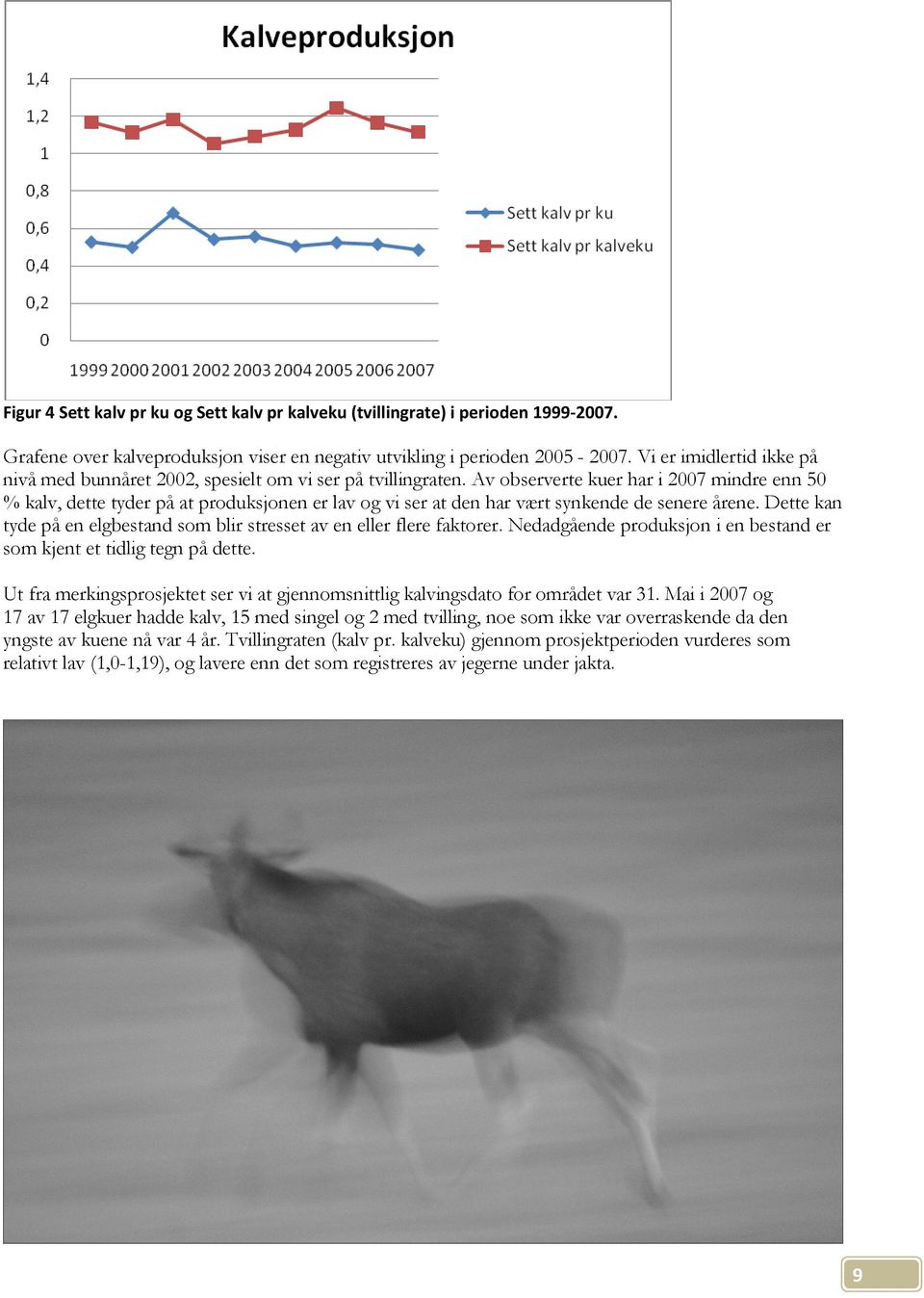 Av observerte kuer har i 2007 mindre enn 50 % kalv, dette tyder på at produksjonen er lav og vi ser at den har vært synkende de senere årene.