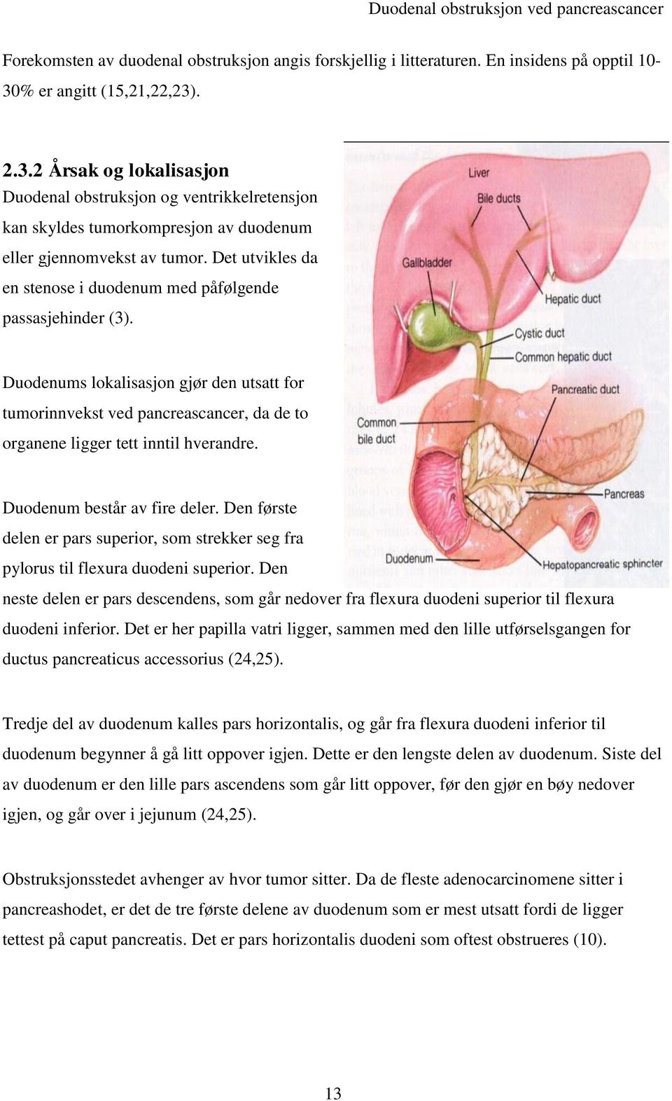 Det utvikles da en stenose i duodenum med påfølgende passasjehinder (3). Duodenums lokalisasjon gjør den utsatt for tumorinnvekst ved pancreascancer, da de to organene ligger tett inntil hverandre.