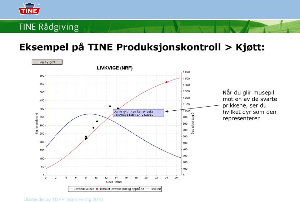 svarte prikkene, ser du hvilket dyr som