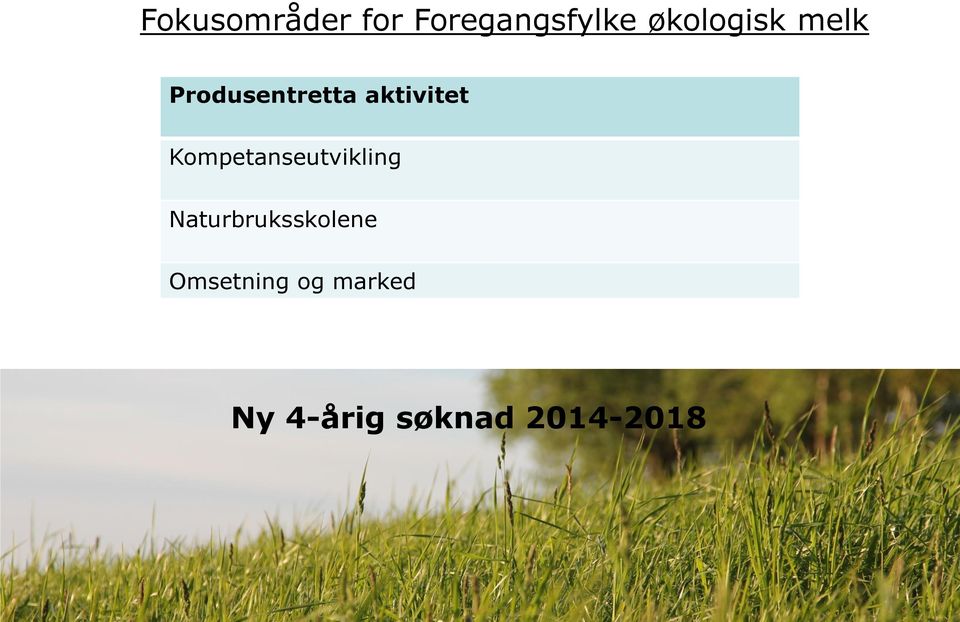 aktivitet Kompetanseutvikling