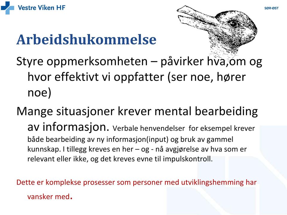 Verbale henvendelser for eksempel krever både bearbeiding av ny informasjon(input) og bruk av gammel kunnskap.