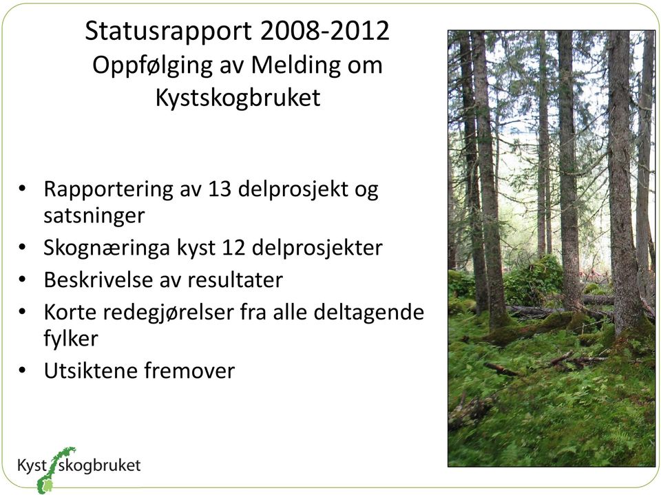 satsninger Skognæringa kyst 12 delprosjekter Beskrivelse