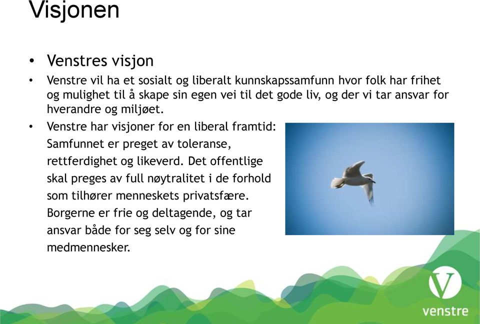 Venstre har visjoner for en liberal framtid: Samfunnet er preget av toleranse, rettferdighet og likeverd.