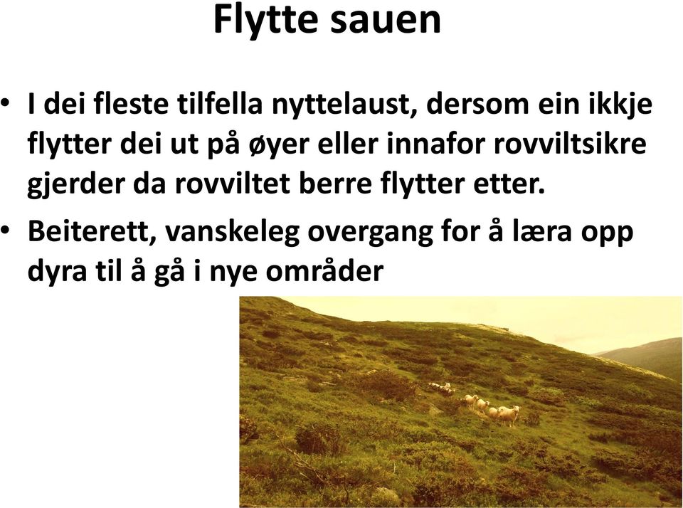 rovviltsikre gjerder da rovviltet berre flytter etter.