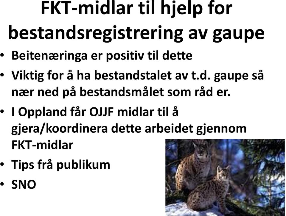 I Oppland får OJJF midlar til å gjera/koordinera dette arbeidet