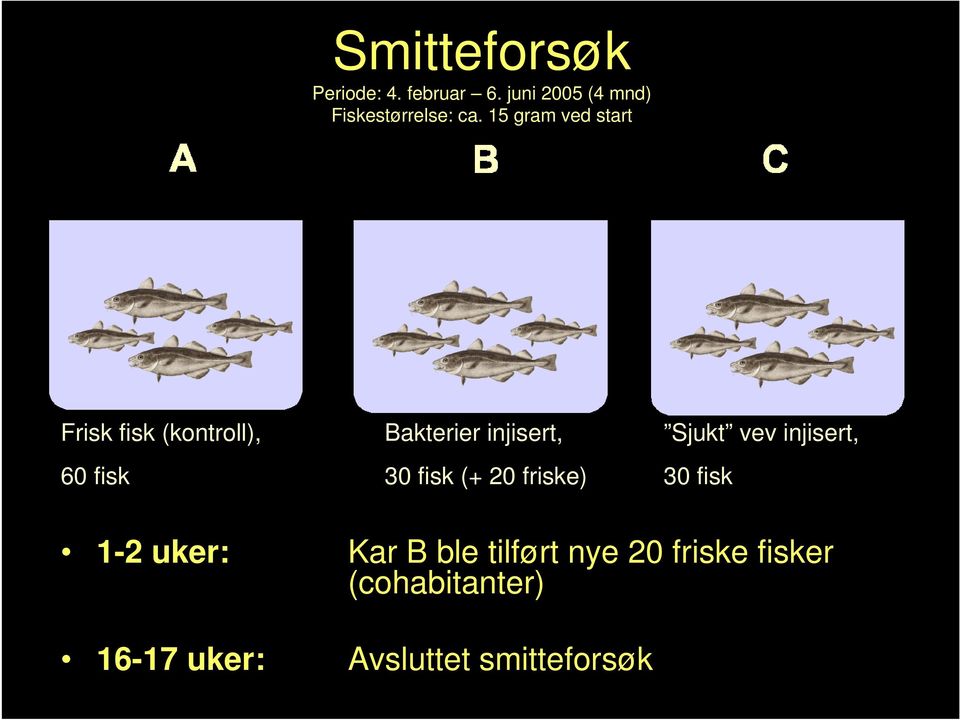 15 gram ved start 1-2 uker: Kar B ble tilført