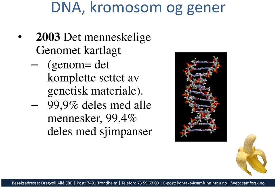 komplette settet av genetisk materiale).