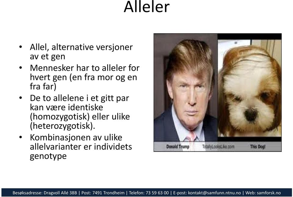 et gitt par kan være identiske (homozygotisk) eller ulike