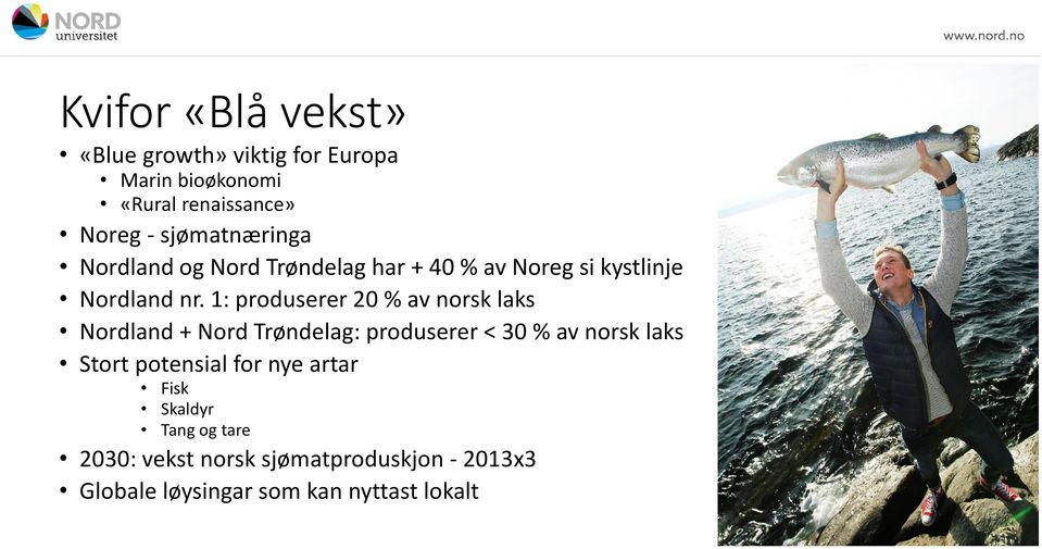 1: produserer 20 % av norsk laks Nordland + Nord Trøndelag: produserer < 30 % av norsk laks Stort