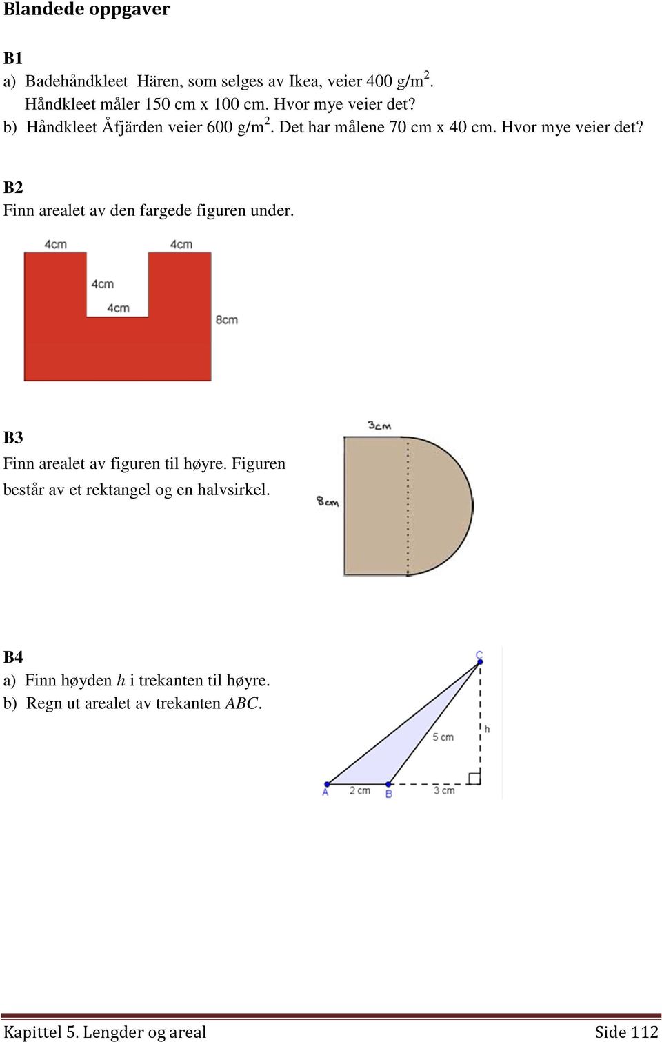 B2 Finn arealet av den fargede figuren under. B3 Finn arealet av figuren til høyre.
