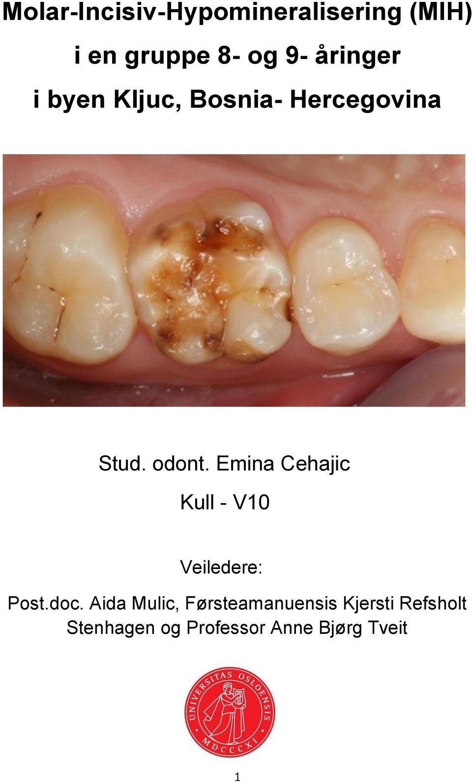 Emina Cehajic Kull - V10 Veiledere: Post.doc.