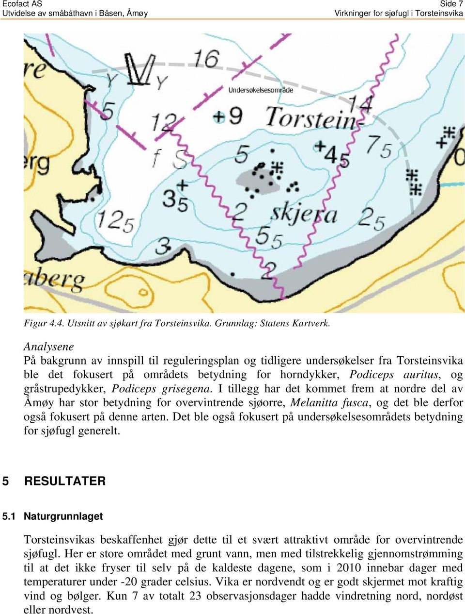 Podiceps grisegena. I tillegg har det kommet frem at nordre del av Åmøy har stor betydning for overvintrende sjøorre, Melanitta fusca, og det ble derfor også fokusert på denne arten.