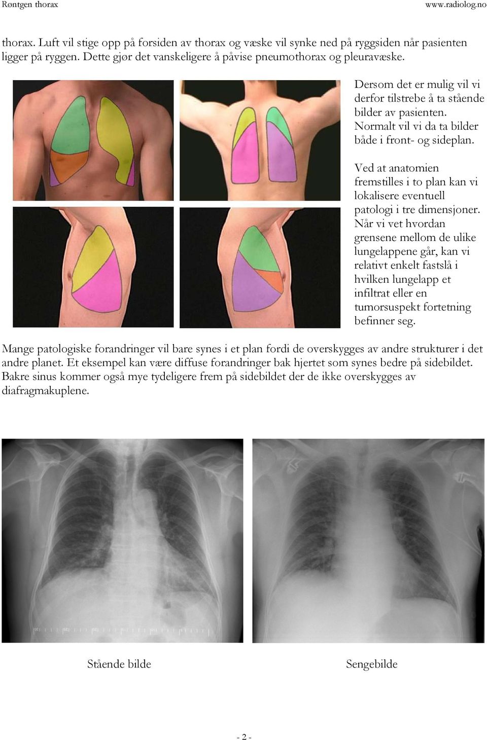 Ved at anatomien fremstilles i to plan kan vi lokalisere eventuell patologi i tre dimensjoner.