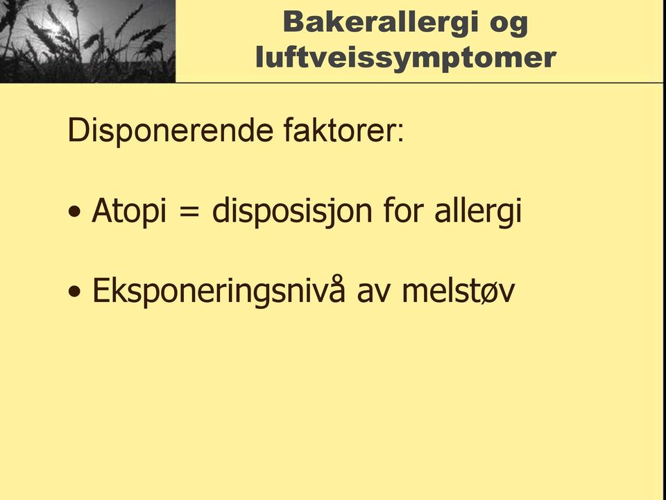 Disponerende faktorer: Atopi