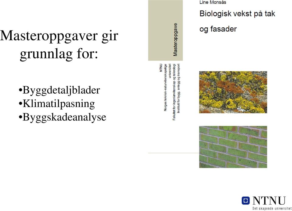 Byggdetaljblader