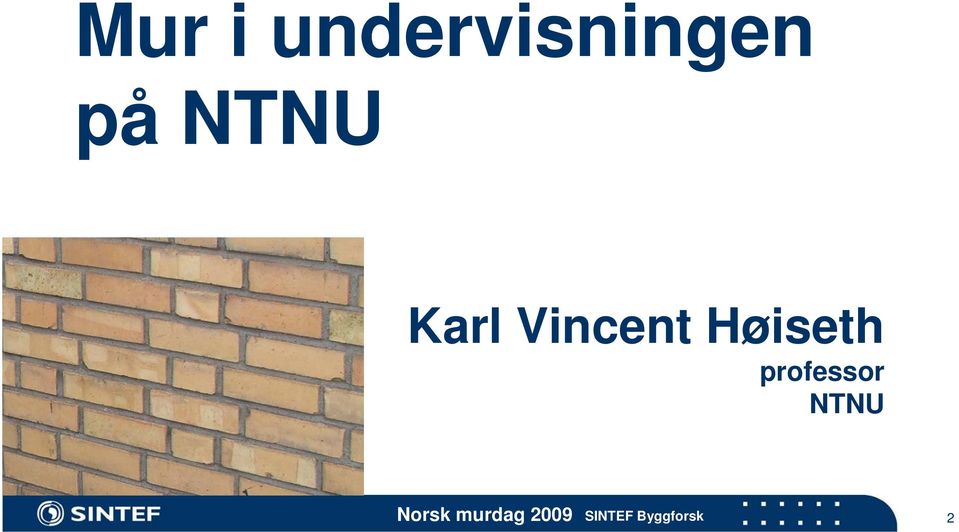 professor NTNU Norsk