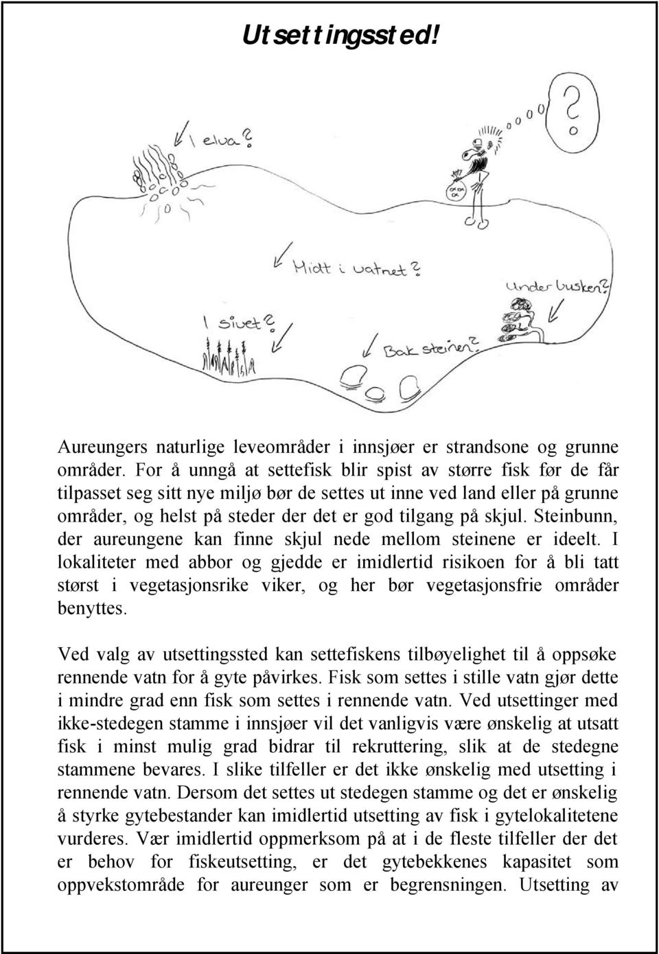 Steinbunn, der aureungene kan finne skjul nede mellom steinene er ideelt.