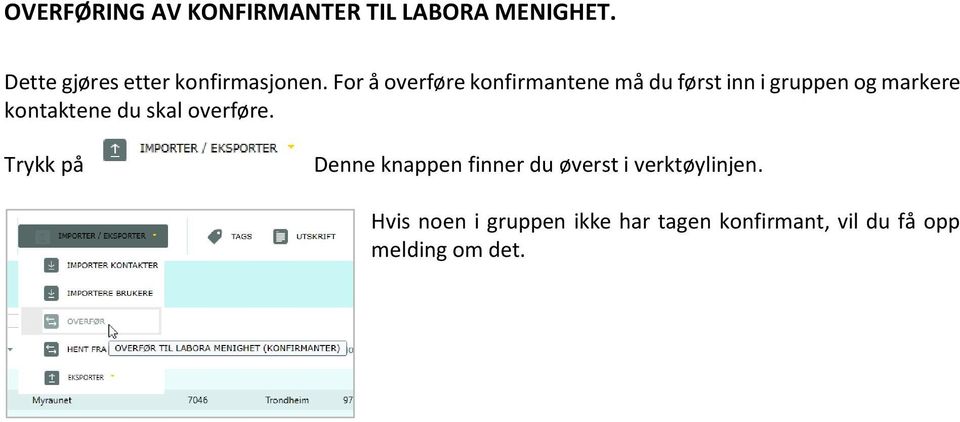 For å overføre konfirmantene må du først inn i gruppen og markere kontaktene