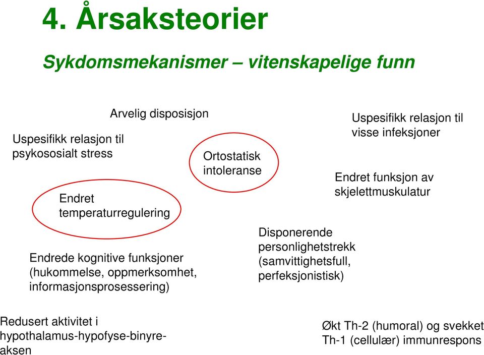 Disponerende personlighetstrekk (samvittighetsfull, perfeksjonistisk) Uspesifikk relasjon til visse infeksjoner Endret funksjon