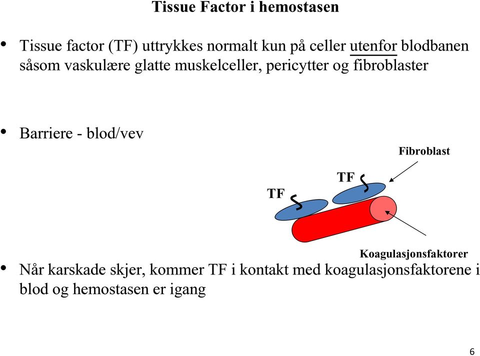 fibroblaster Barriere - blod/vev TF TF Fibroblast Koagulasjonsfaktorer Når