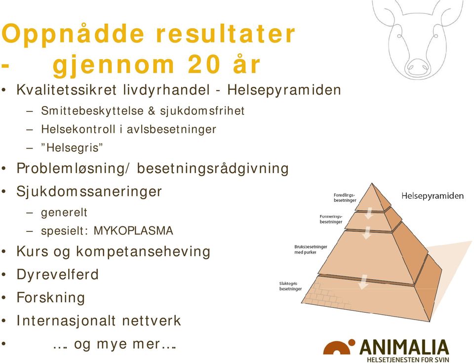 Problemløsning/ besetningsrådgivning Sjukdomssaneringer generelt spesielt: