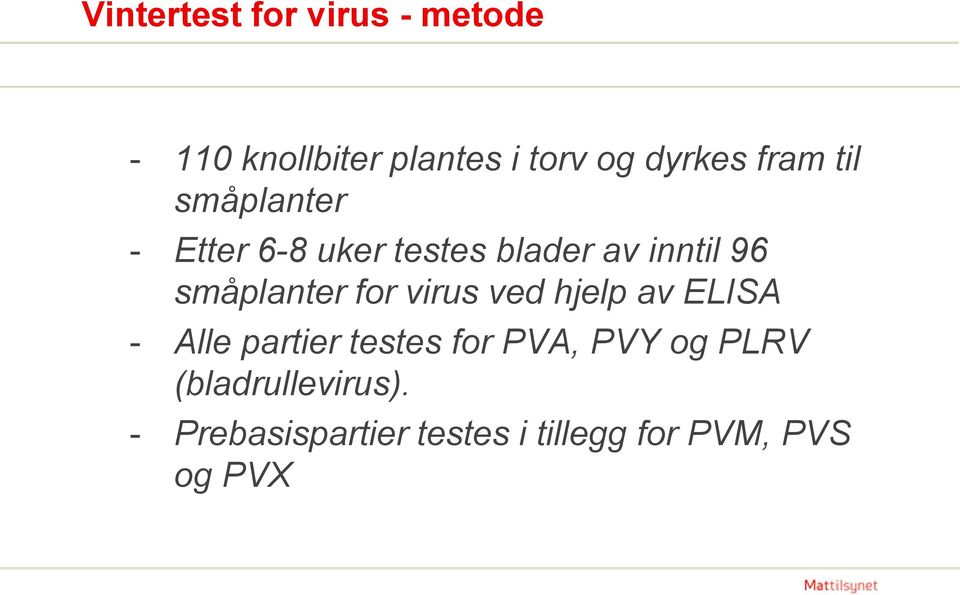 småplanter for virus ved hjelp av ELISA - Alle partier testes for PVA,