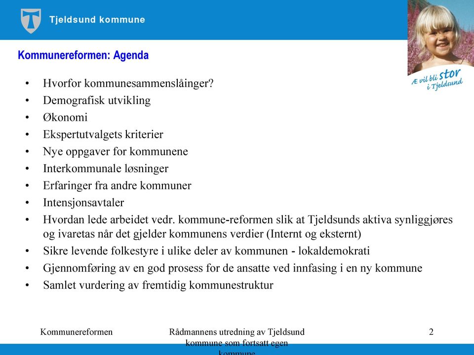 kommuner Intensjonsavtaler Hvordan lede arbeidet vedr.