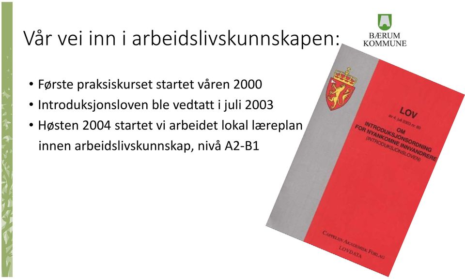 Introduksjonsloven ble vedtatt i juli 2003 Høsten