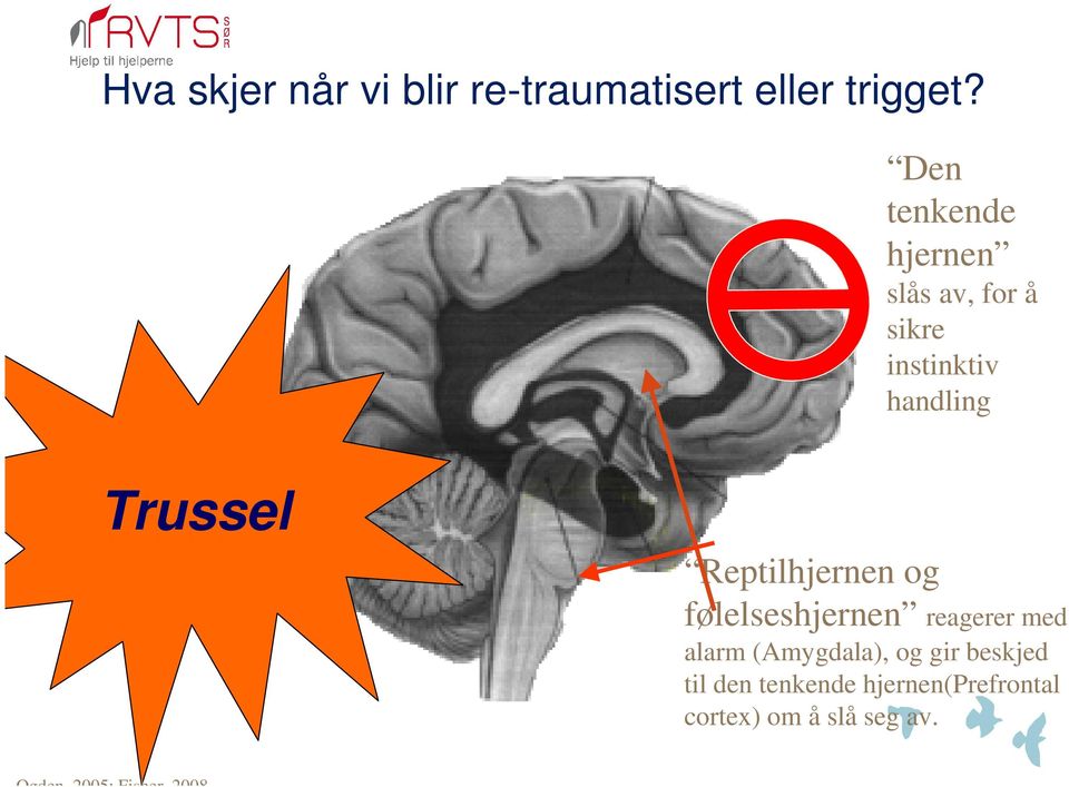 Reptilhjernen og følelseshjernen reagerer med alarm (Amygdala), og gir