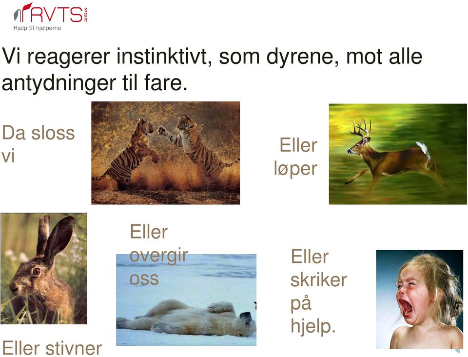 Da sloss vi Eller løper Eller