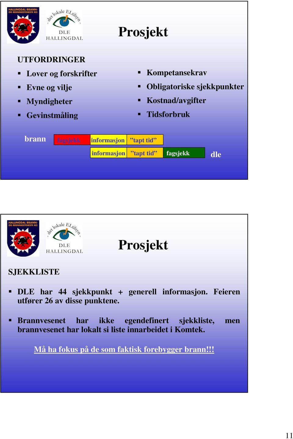 SJEKKLISTE DLE har 44 sjekkpunkt + generell informasjon. Feieren utfører 26 av disse punktene.