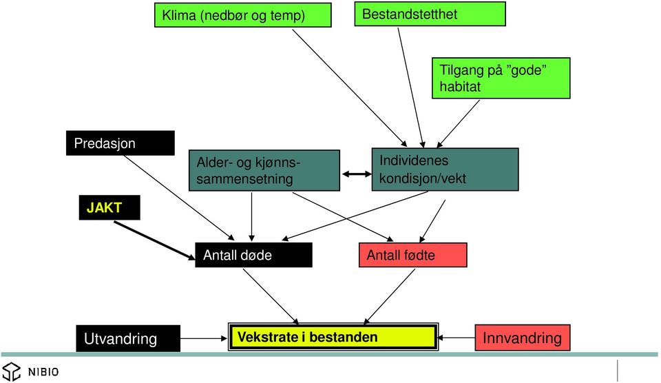 sammensetning Individenes kondisjon/vekt Antall