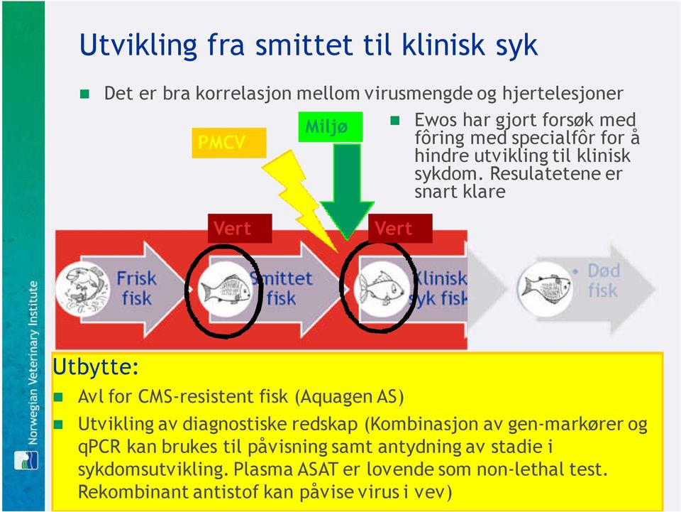 Resulatetene er snart klare Vert Vert Utbytte: Avl for CMS-resistent fisk (Aquagen AS) Utvikling av diagnostiske redskap