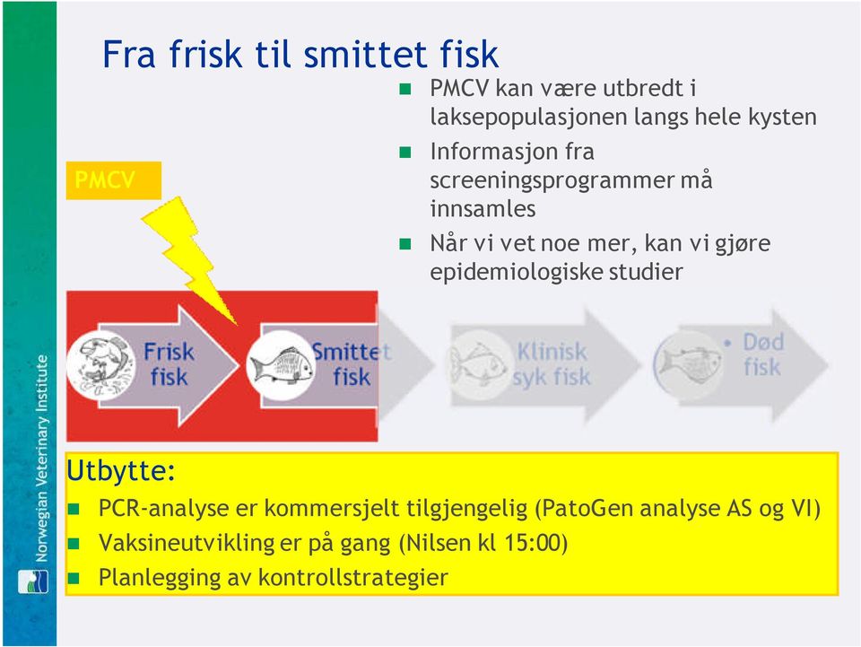 epidemiologiske studier Utbytte: PCR-analyse er kommersjelt tilgjengelig (PatoGen