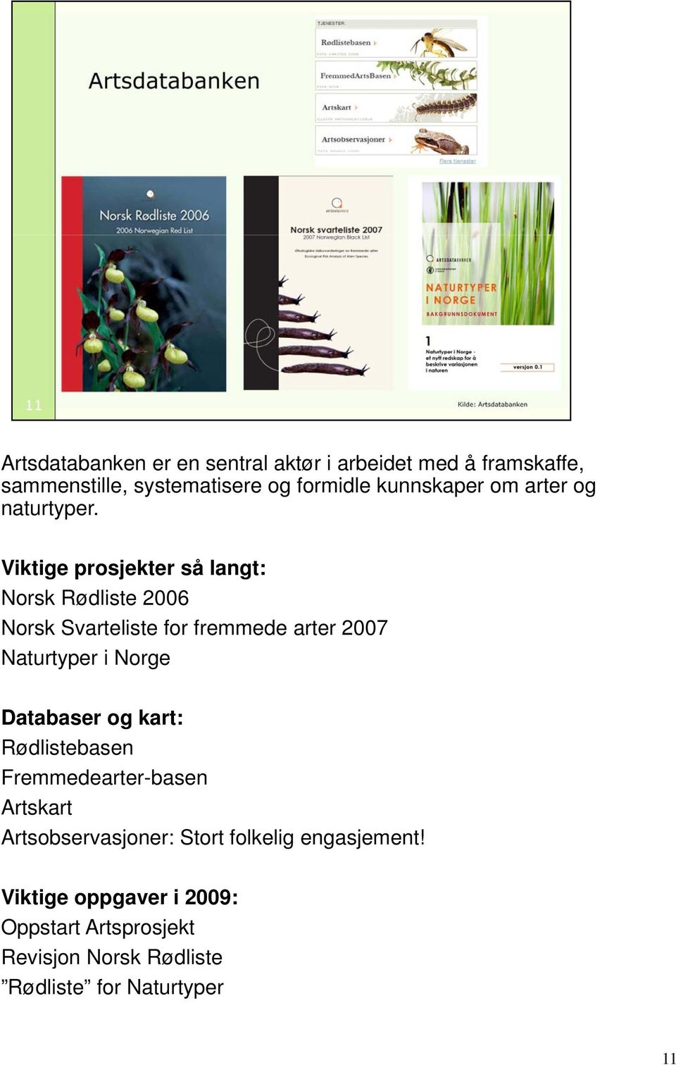 Viktige prosjekter så langt: Norsk Rødliste 2006 Norsk Svarteliste for fremmede arter 2007 Naturtyper i Norge
