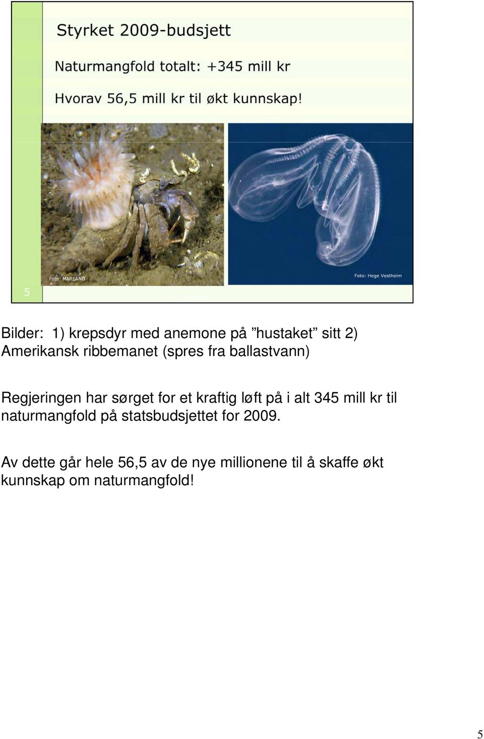 alt 345 mill kr til naturmangfold på statsbudsjettet for 2009.