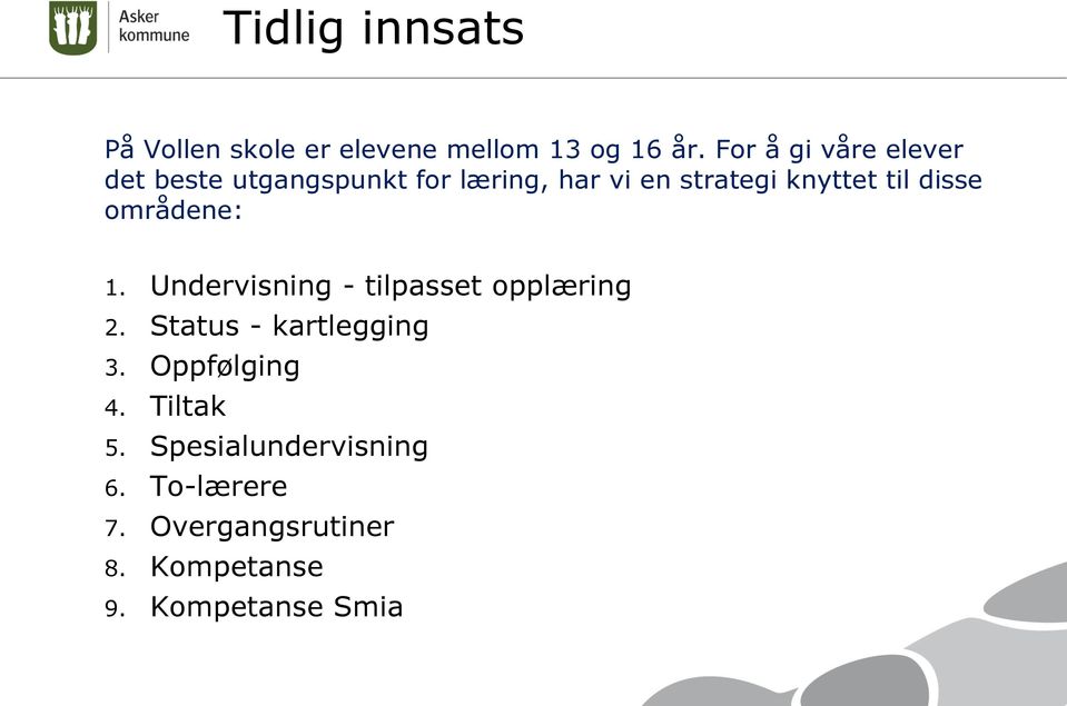 til disse områdene: 1. Undervisning - tilpasset opplæring 2. Status - kartlegging 3.