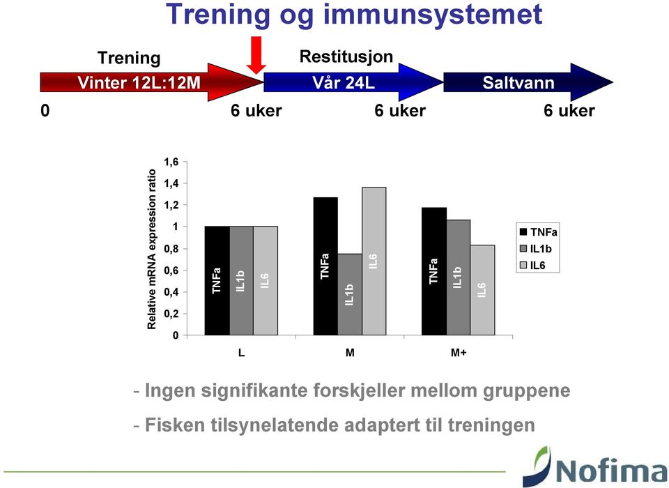 0,2 0 TNFa IL1b IL6 TNFa IL1b IL6 TNFa IL1b IL6 TNFa IL1b IL6 L M M+ - Ingen